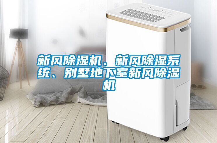 新風(fēng)除濕機(jī)、新風(fēng)除濕系統(tǒng)、別墅地下室新風(fēng)除濕機(jī)