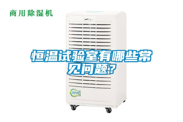 恒溫試驗(yàn)室有哪些常見(jiàn)問(wèn)題？