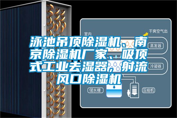 泳池吊頂除濕機、南京除濕機廠家、吸頂式工業(yè)去濕器，射流風口除濕機