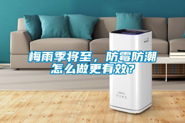 梅雨季將至，防霉防潮怎么做更有效？
