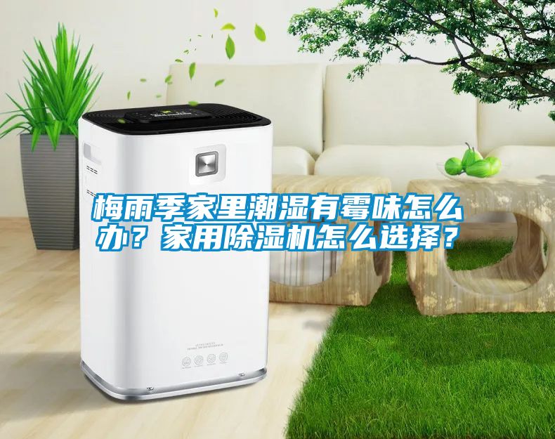 梅雨季家里潮濕有霉味怎么辦？家用除濕機怎么選擇？