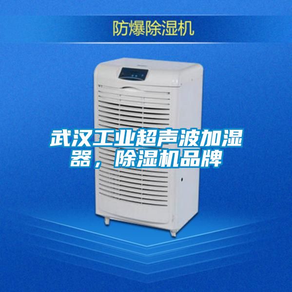 武漢工業(yè)超聲波加濕器，除濕機(jī)品牌