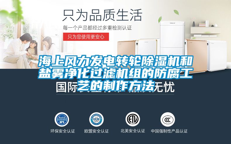 海上風力發(fā)電轉(zhuǎn)輪除濕機和鹽霧凈化過濾機組的防腐工藝的制作方法