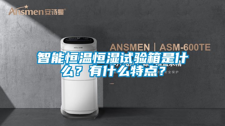 智能恒溫恒濕試驗(yàn)箱是什么？有什么特點(diǎn)？