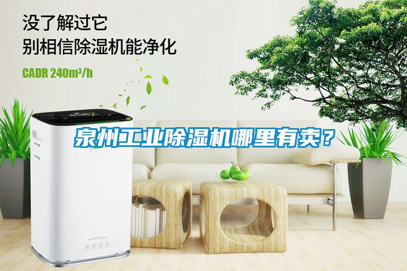 泉州工業(yè)除濕機(jī)哪里有賣？