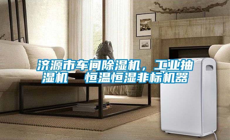 濟(jì)源市車間除濕機(jī)，工業(yè)抽濕機(jī)  恒溫恒濕非標(biāo)機(jī)器