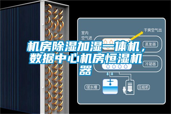 機房除濕加濕一體機，數(shù)據(jù)中心機房恒濕機器