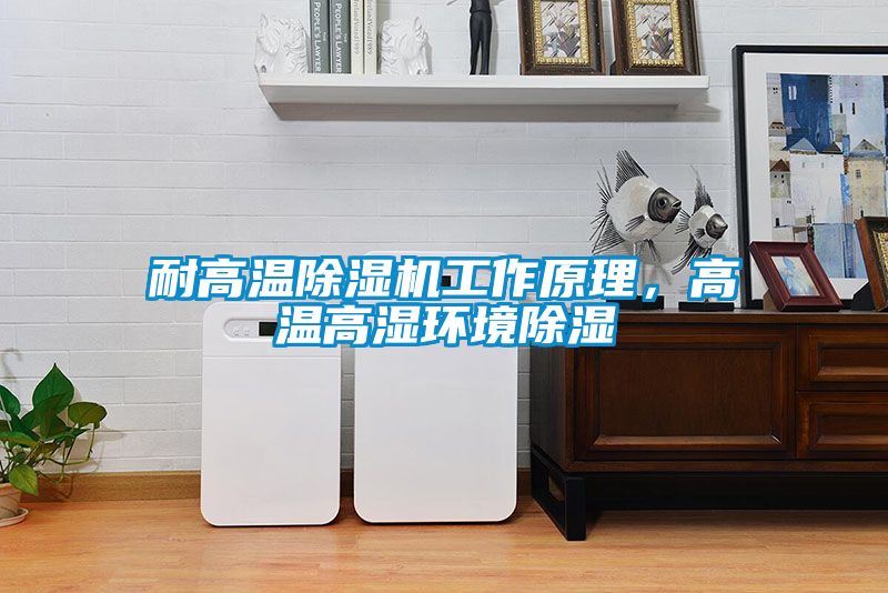 耐高溫除濕機(jī)工作原理，高溫高濕環(huán)境除濕