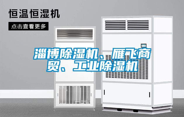 淄博除濕機(jī)、雁飛商貿(mào)、工業(yè)除濕機(jī)