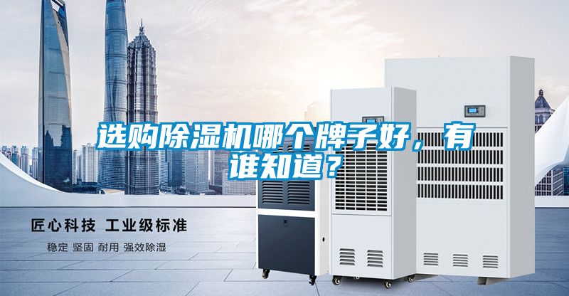 選購除濕機(jī)哪個(gè)牌子好，有誰知道？