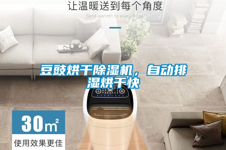 豆豉烘干除濕機，自動排濕烘干快