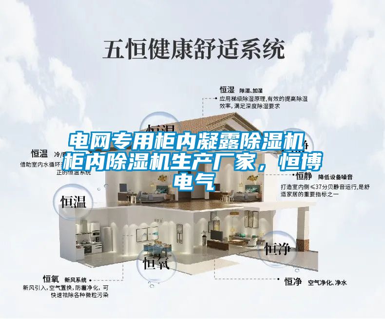 電網(wǎng)專(zhuān)用柜內(nèi)凝露除濕機(jī) 柜內(nèi)除濕機(jī)生產(chǎn)廠(chǎng)家，恒博電氣