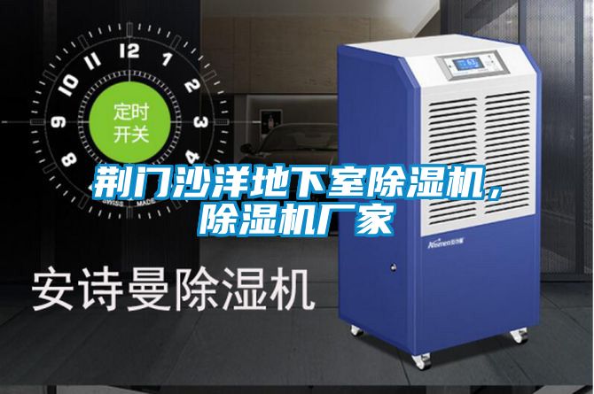 荊門沙洋地下室除濕機(jī)，除濕機(jī)廠家