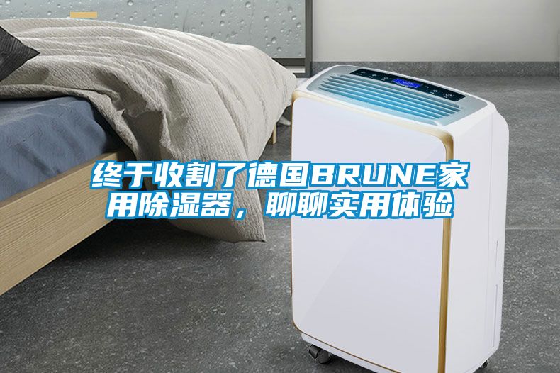 終于收割了德國BRUNE家用除濕器，聊聊實用體驗