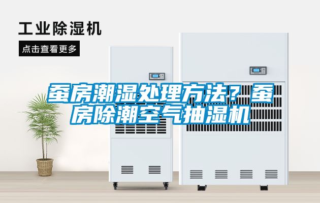 蠶房潮濕處理方法？蠶房除潮空氣抽濕機