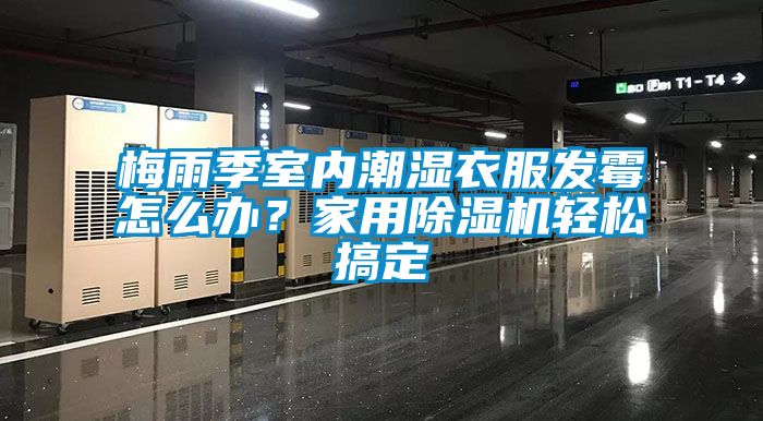 梅雨季室內(nèi)潮濕衣服發(fā)霉怎么辦？家用除濕機輕松搞定