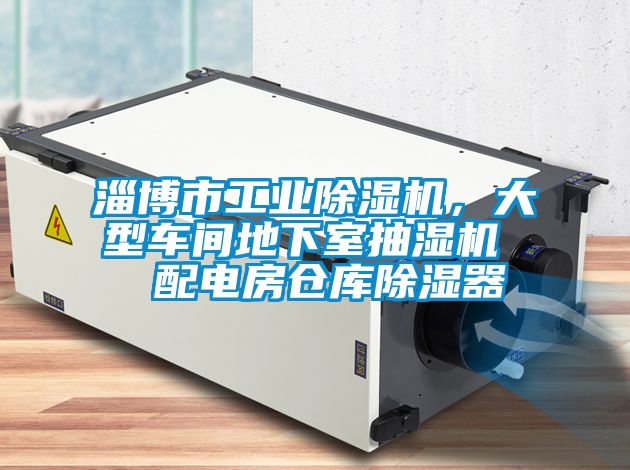淄博市工業(yè)除濕機，大型車間地下室抽濕機  配電房倉庫除濕器