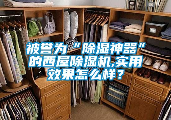 被譽(yù)為“除濕神器”的西屋除濕機(jī),實(shí)用效果怎么樣？