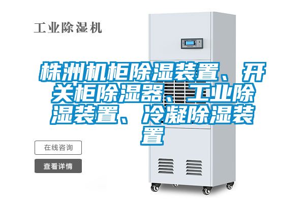 株洲機(jī)柜除濕裝置、開關(guān)柜除濕器、工業(yè)除濕裝置、冷凝除濕裝置