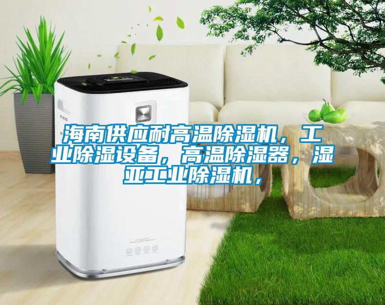 海南供應(yīng)耐高溫除濕機(jī)，工業(yè)除濕設(shè)備，高溫除濕器，濕亞工業(yè)除濕機(jī)，