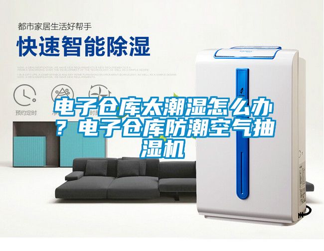 電子倉庫太潮濕怎么辦？電子倉庫防潮空氣抽濕機(jī)