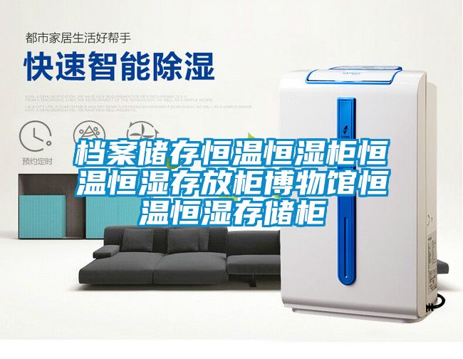 檔案儲(chǔ)存恒溫恒濕柜恒溫恒濕存放柜博物館恒溫恒濕存儲(chǔ)柜