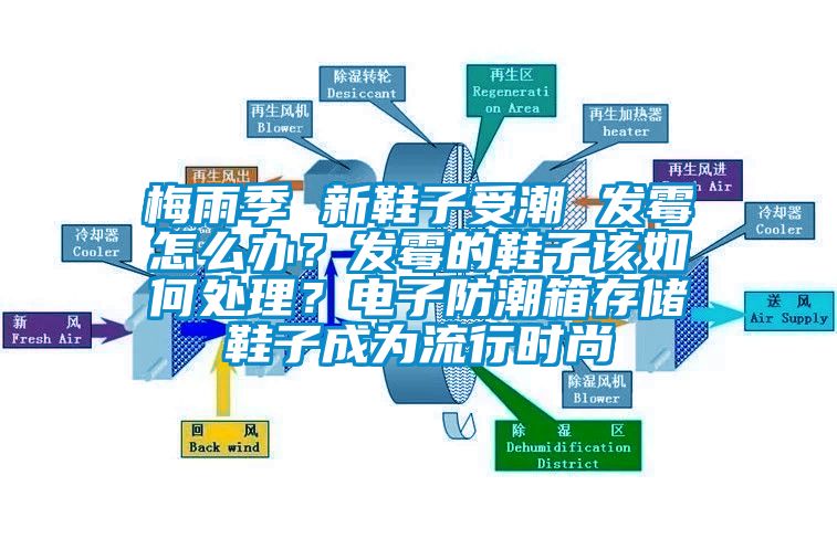 梅雨季 新鞋子受潮 發(fā)霉怎么辦？發(fā)霉的鞋子該如何處理？電子防潮箱存儲鞋子成為流行時尚