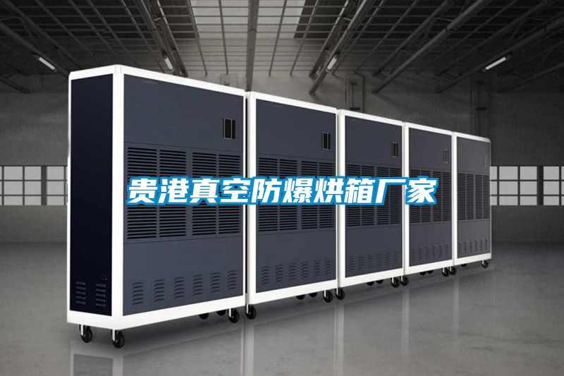 貴港真空防爆烘箱廠(chǎng)家