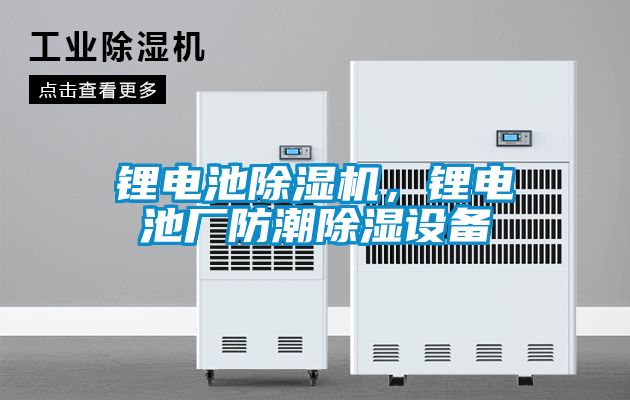鋰電池除濕機(jī)，鋰電池廠(chǎng)防潮除濕設(shè)備