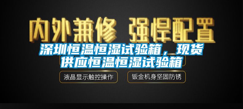 深圳恒溫恒濕試驗箱，現(xiàn)貨供應恒溫恒濕試驗箱