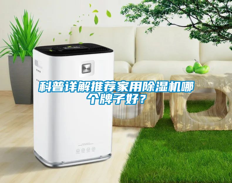 科普詳解推薦家用除濕機哪個牌子好？
