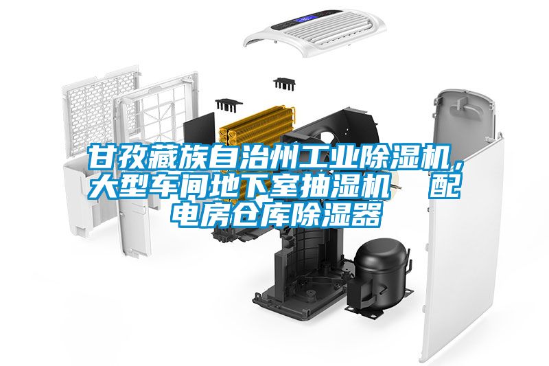 甘孜藏族自治州工業(yè)除濕機，大型車間地下室抽濕機  配電房倉庫除濕器