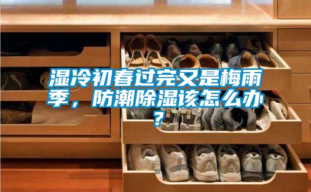 濕冷初春過完又是梅雨季，防潮除濕該怎么辦？