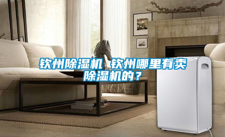 欽州除濕機(jī) 欽州哪里有賣(mài)除濕機(jī)的？