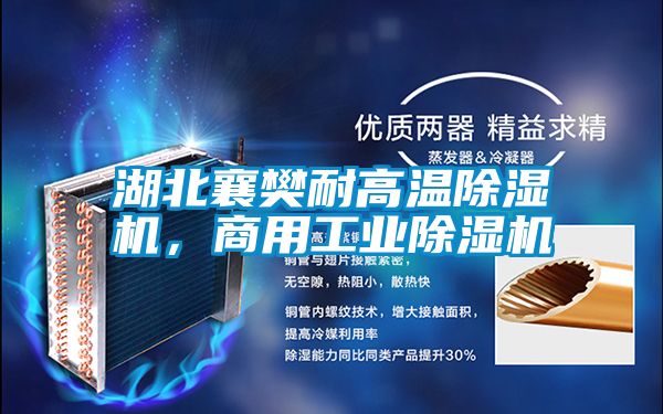 湖北襄樊耐高溫除濕機(jī)，商用工業(yè)除濕機(jī)