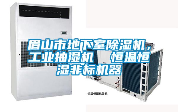 眉山市地下室除濕機，工業(yè)抽濕機  恒溫恒濕非標(biāo)機器