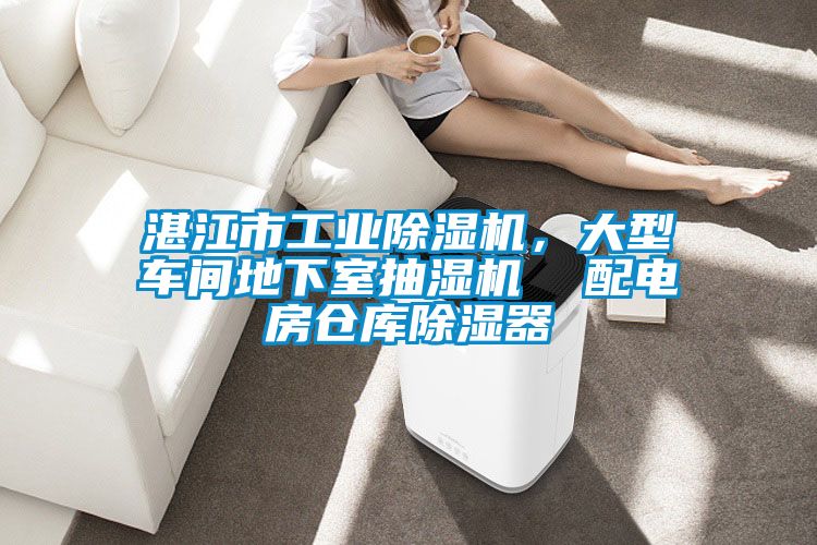 湛江市工業(yè)除濕機(jī)，大型車間地下室抽濕機(jī)  配電房倉(cāng)庫(kù)除濕器