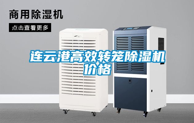 連云港高效轉(zhuǎn)籠除濕機(jī)價格