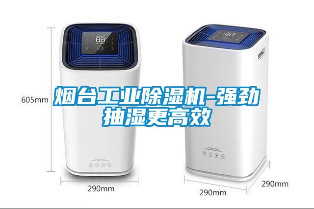 煙臺工業(yè)除濕機(jī)-強(qiáng)勁抽濕更高效