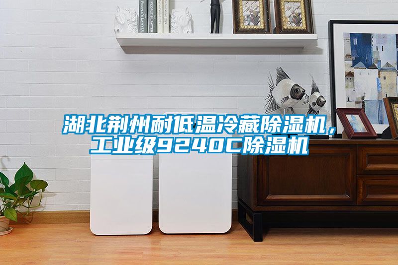 湖北荊州耐低溫冷藏除濕機(jī)，工業(yè)級(jí)9240C除濕機(jī)