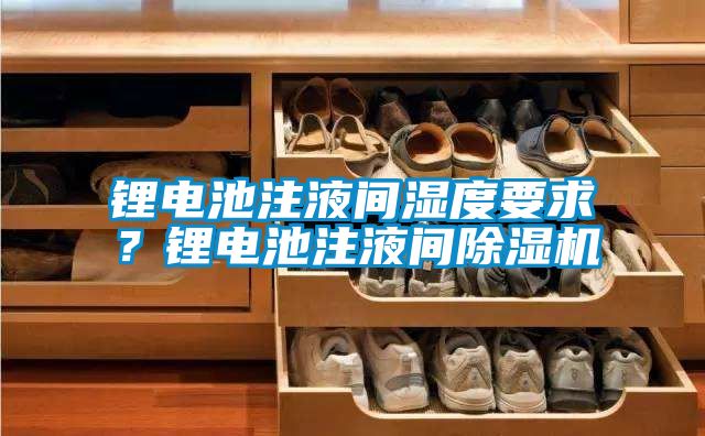 鋰電池注液間濕度要求？鋰電池注液間除濕機(jī)