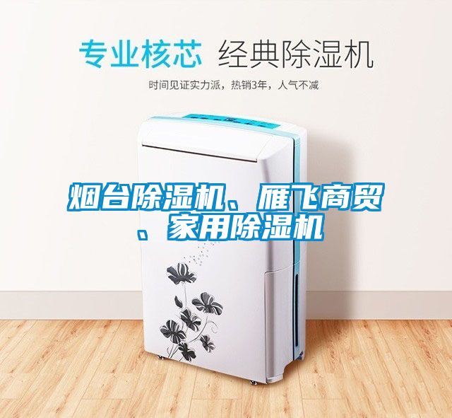 煙臺(tái)除濕機(jī)、雁飛商貿(mào)、家用除濕機(jī)