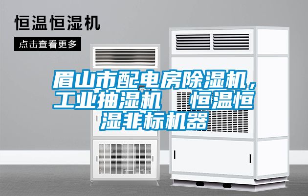 眉山市配電房除濕機(jī)，工業(yè)抽濕機(jī)  恒溫恒濕非標(biāo)機(jī)器