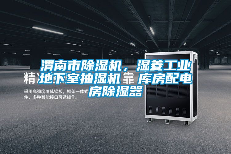 渭南市除濕機(jī)，濕菱工業(yè)地下室抽濕機(jī)  庫(kù)房配電房除濕器