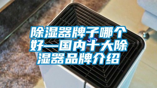 除濕器牌子哪個(gè)好—國內(nèi)十大除濕器品牌介紹