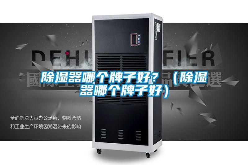 除濕器哪個(gè)牌子好？（除濕器哪個(gè)牌子好）