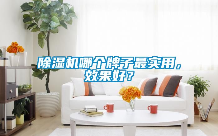 除濕機(jī)哪個(gè)牌子最實(shí)用，效果好？