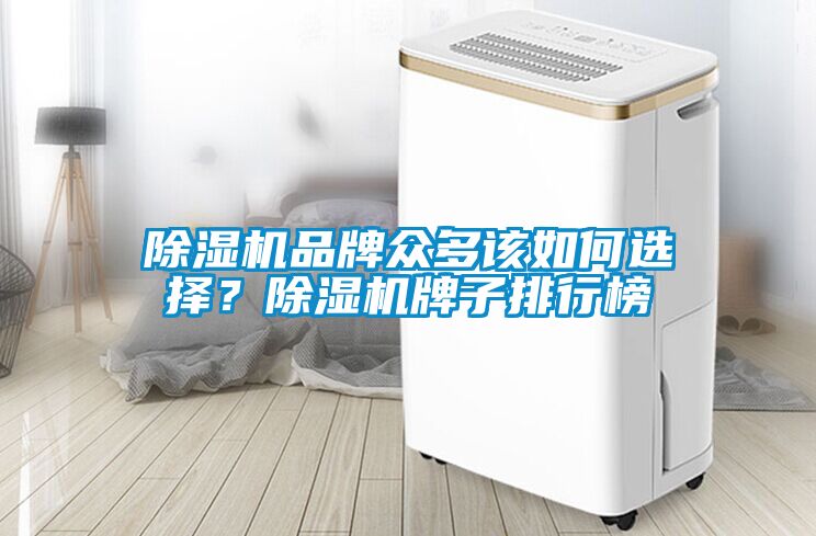 除濕機(jī)品牌眾多該如何選擇？除濕機(jī)牌子排行榜