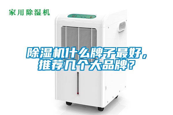 除濕機什么牌子最好，推薦幾個大品牌？