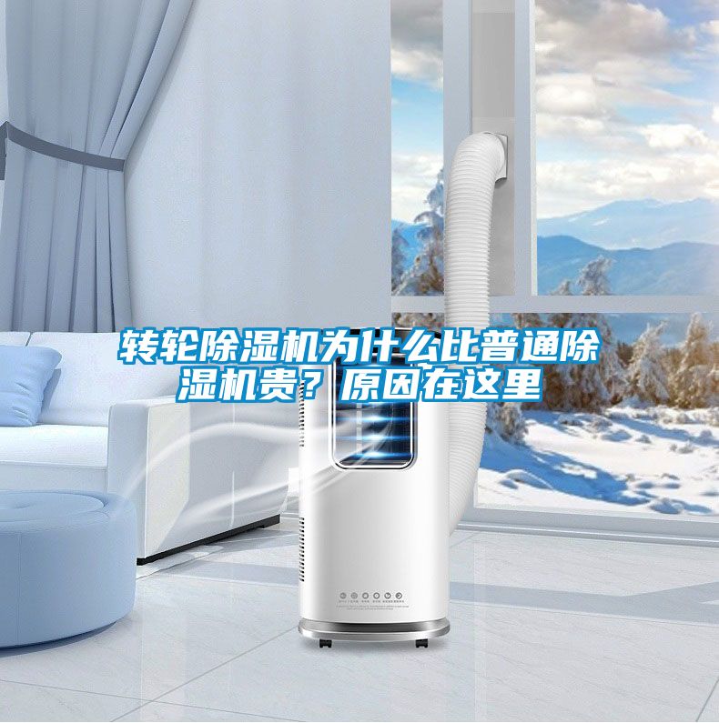 轉(zhuǎn)輪除濕機為什么比普通除濕機貴？原因在這里